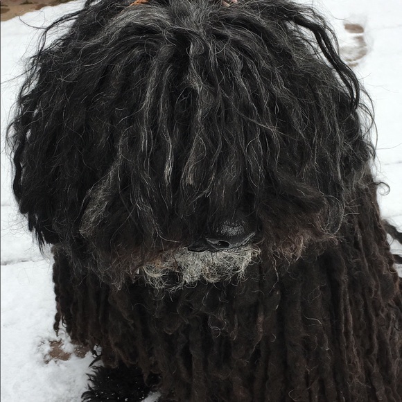 Meet your Posher, Ali - Picture 1 of 2